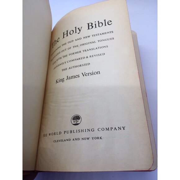 Holy Bible Dictionary Red Letter Edition Jesus King James Version KJV World - Picture 11 of 16